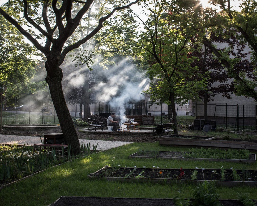 Közösségi kertek Budapesten. Fotó: Kállai Márton