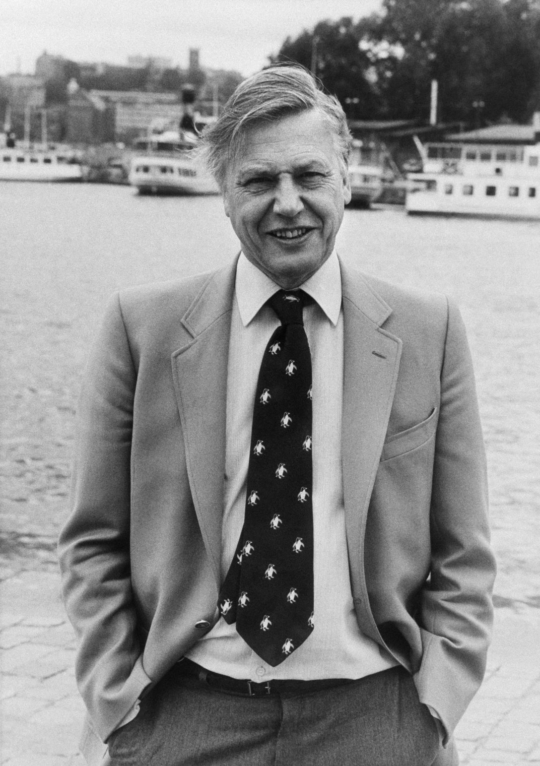 Sir David Attenborough angol természettudós és ismeretterjesztő dokumentumfilmes 1984-ben. Fotó: TT NEWS AGENCY / AFP