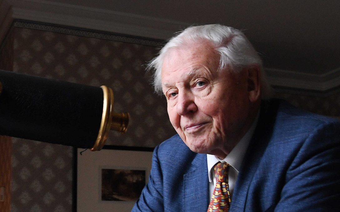 Száz dolog, amiért szeretjük a százéves David Attenborough-t