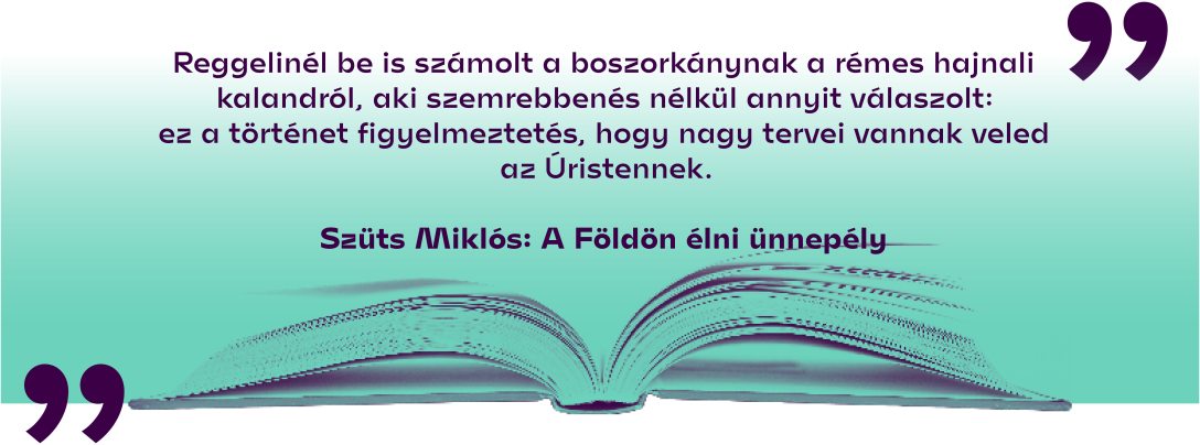 Szüts Miklós: A Földön élni ünnepély