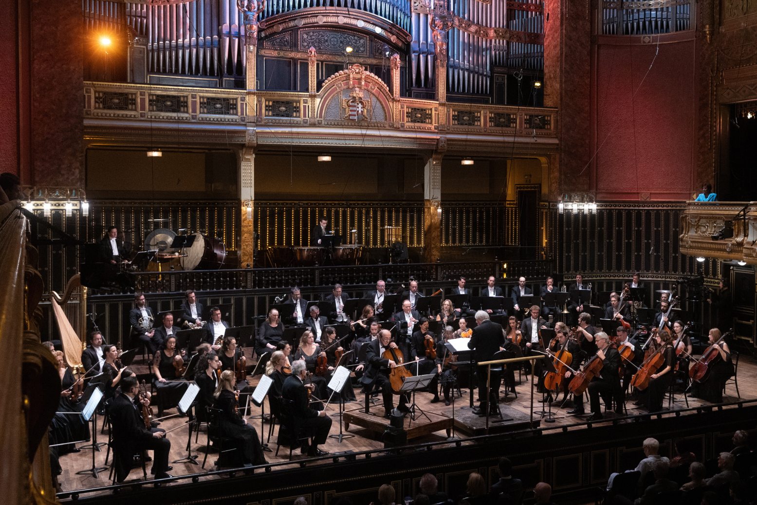 Concerto Bp.jpg