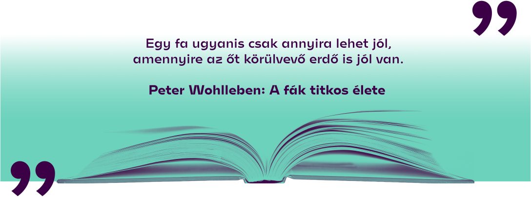 Peter Wohlleben: A fák titkos élete