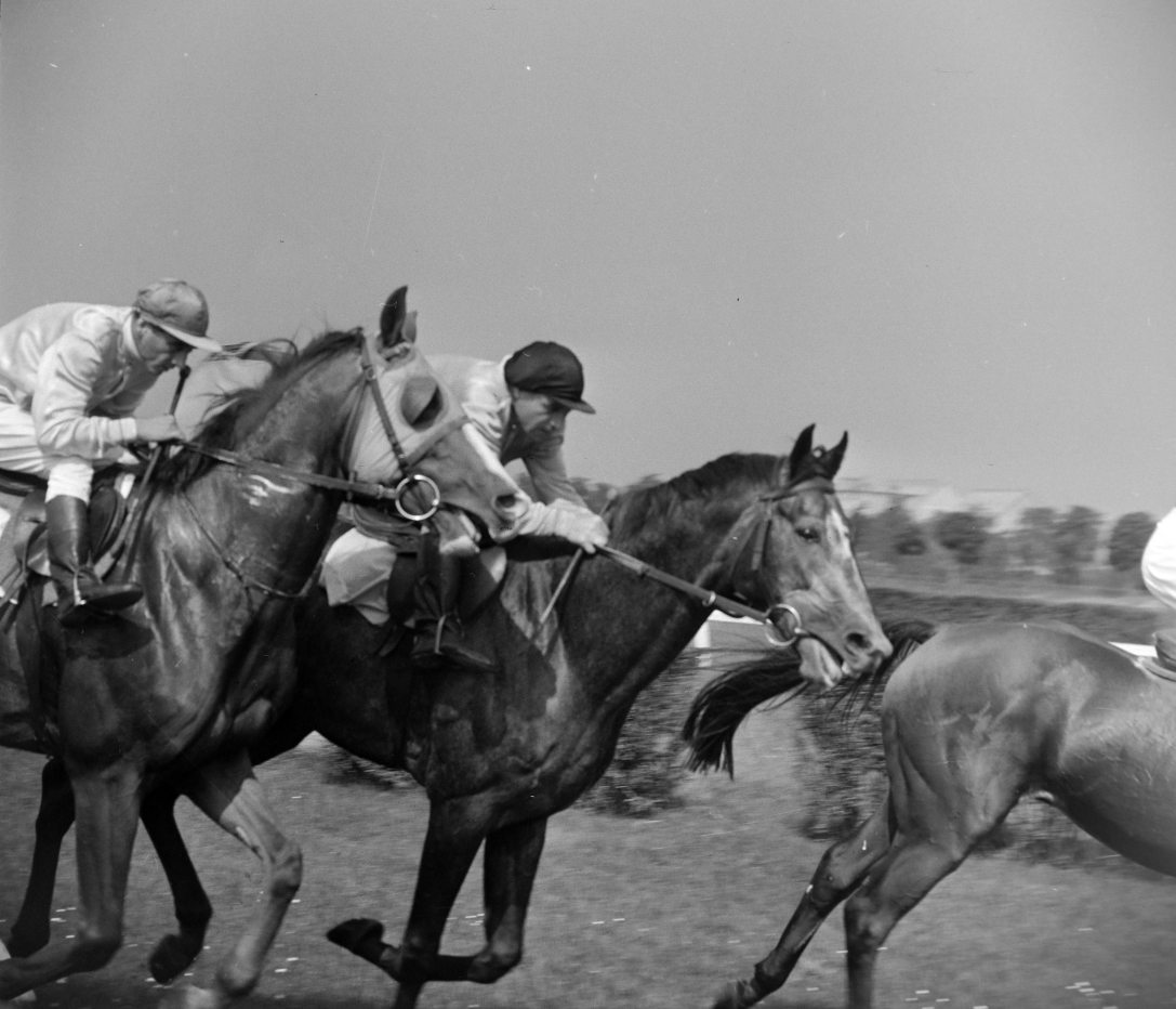 Albertirsai út, Lóversenypálya (később Kincsem Park)1967-ben. Fotó: Fortepan / Bojár Sándor
