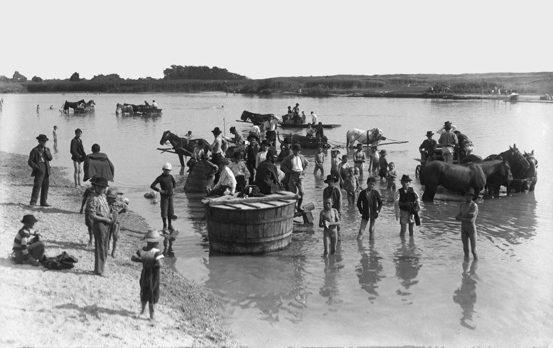 A Dunaparton valahol Budapestnél 1904-ben. Fotó: Fortepan / Deutsche Fotothek / Brück und Sohn