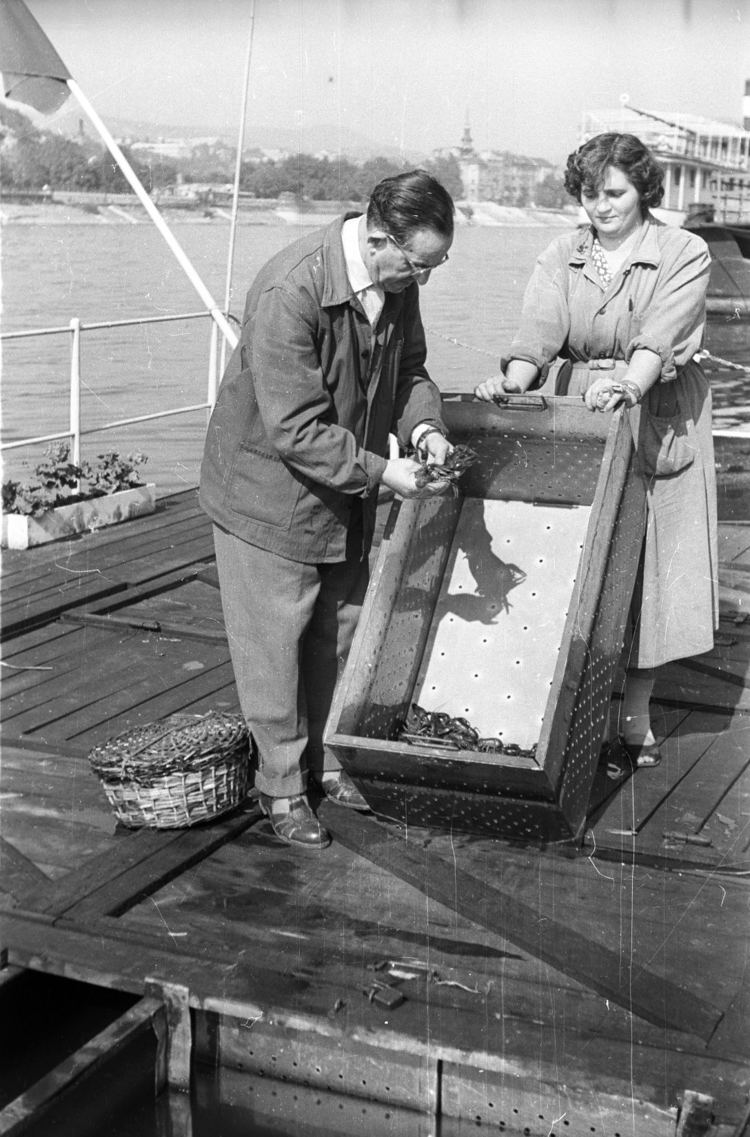 Folyami rákok válogatása exportra a Magyar Vadkereskedelmi Szövetkezeti Vállalatnál (MAVAD), egy haltároló bárkán a Belgrád rakpartnál 1960-ban. Háttérben az Alexandriai Szent Katalin-templom. Fotó: Fortepan / FSZEK Budapest Gyűjtemény / Sándor Gy