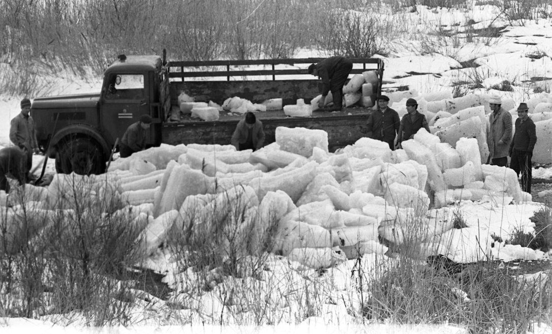 Jégtáblák kitermelése a Ráckevei (Soroksári)-Dunán 1970-ben, melyeket a Taksonyi Földműves Szövetkezet vermeibe szállítanak. Fotó: Fortepan / Urbán Tamás