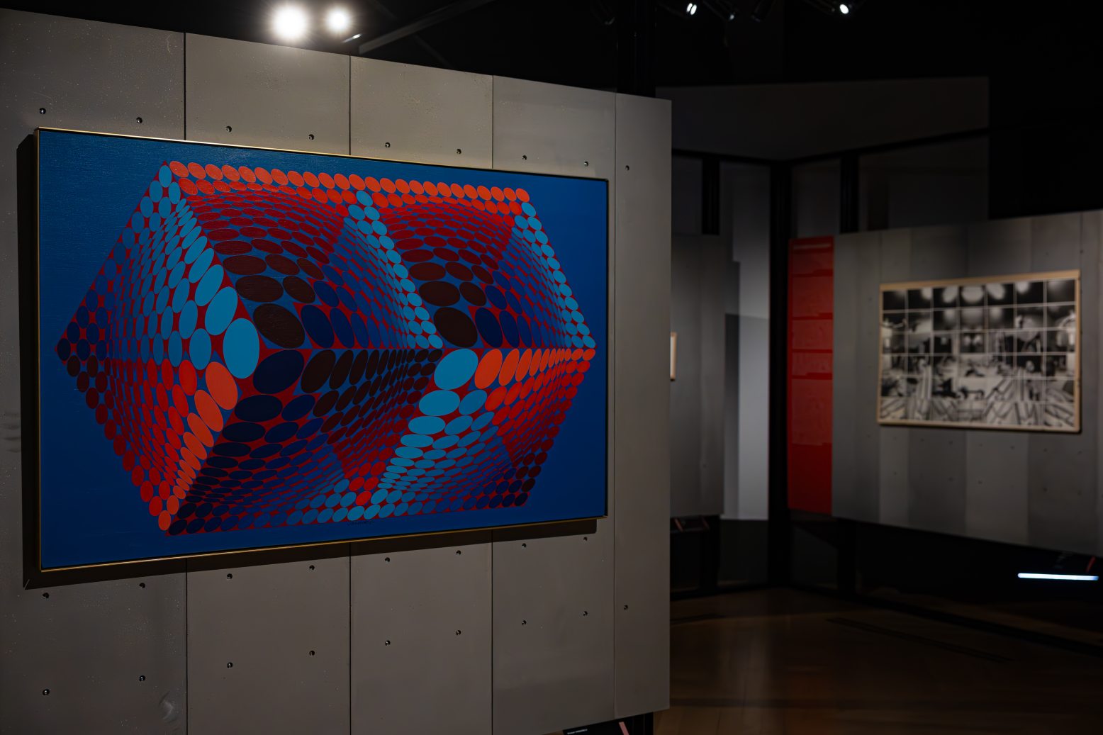 260618_VASARELY_DONT_GO_HOME_CSZS-7.JPG