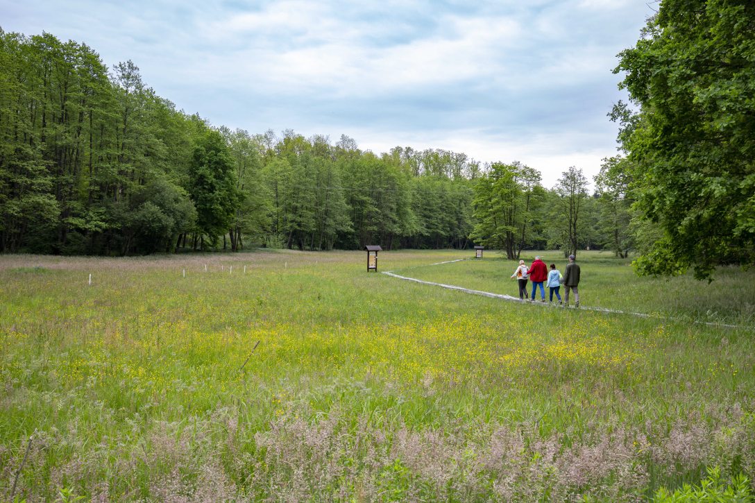 Látogatók az Őrségi Nemzeti Park Igazgatósághoz tartozó szőcei tőzegmohás lápréten 2020. április 23-án. Fotó:  MTI/Varga György