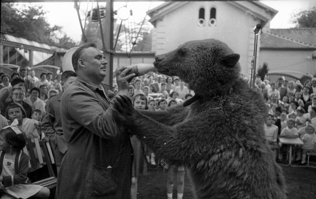 Gyermeknapi rendezvény a margitszigeti Casino kerthelyiségében 1958-ban. Fotó: Fortepan / Bauer Sándor