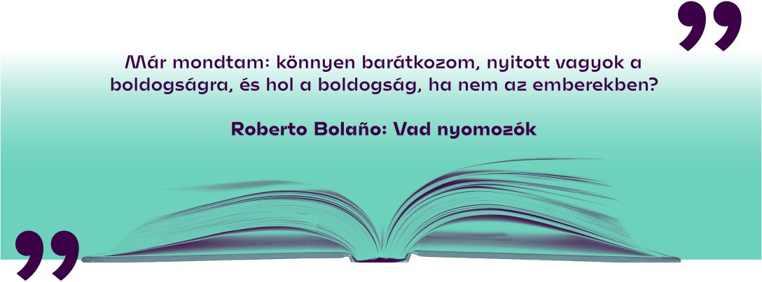 Roberto Bolaño: Vad nyomozók