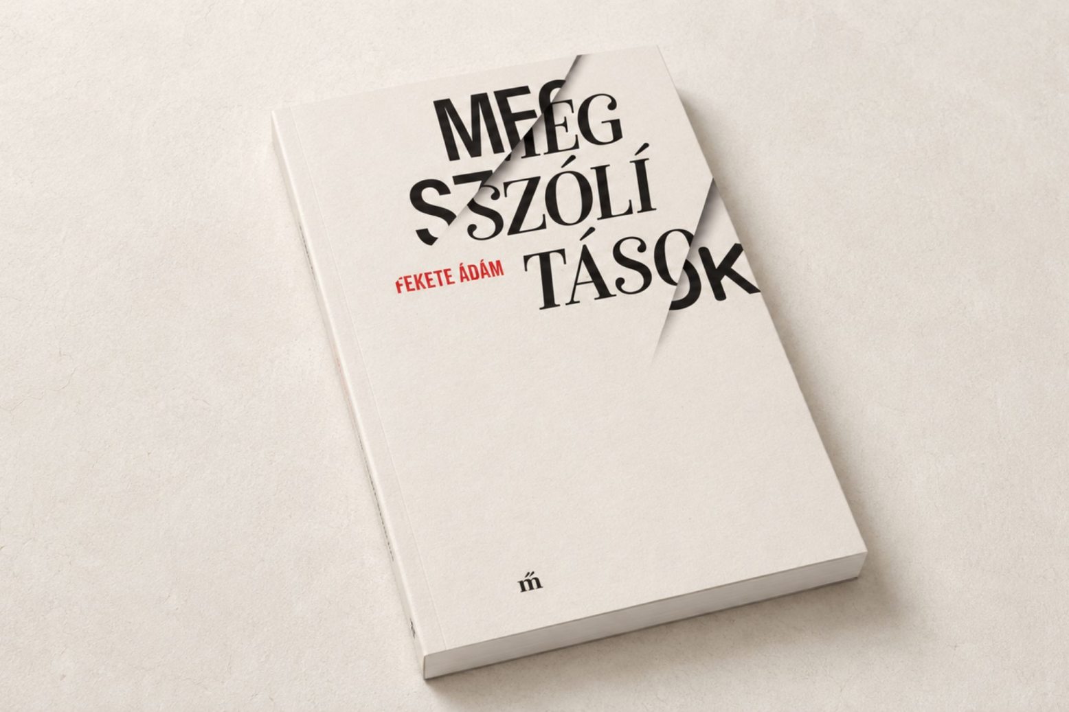 fekete_adam_megszolitasok.jpg