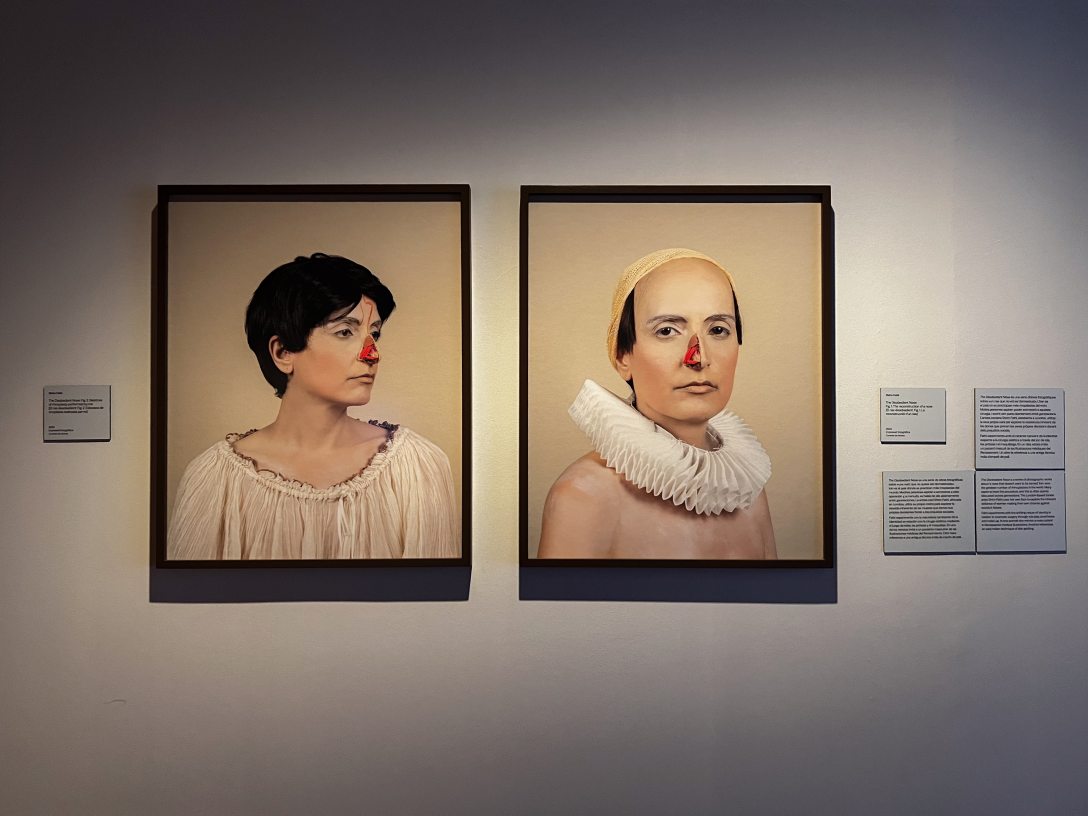 A The Cult of Beauty című kiállítás a Barcelonai Kortárs Kulturális Központban. Fotó: Terján Nóra / Kultúra.hu