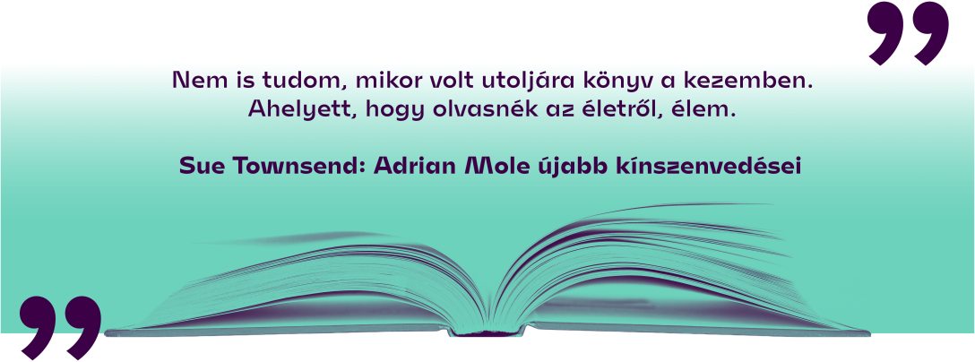 Sue Townsend: Adrian ​Mole újabb kínszenvedései