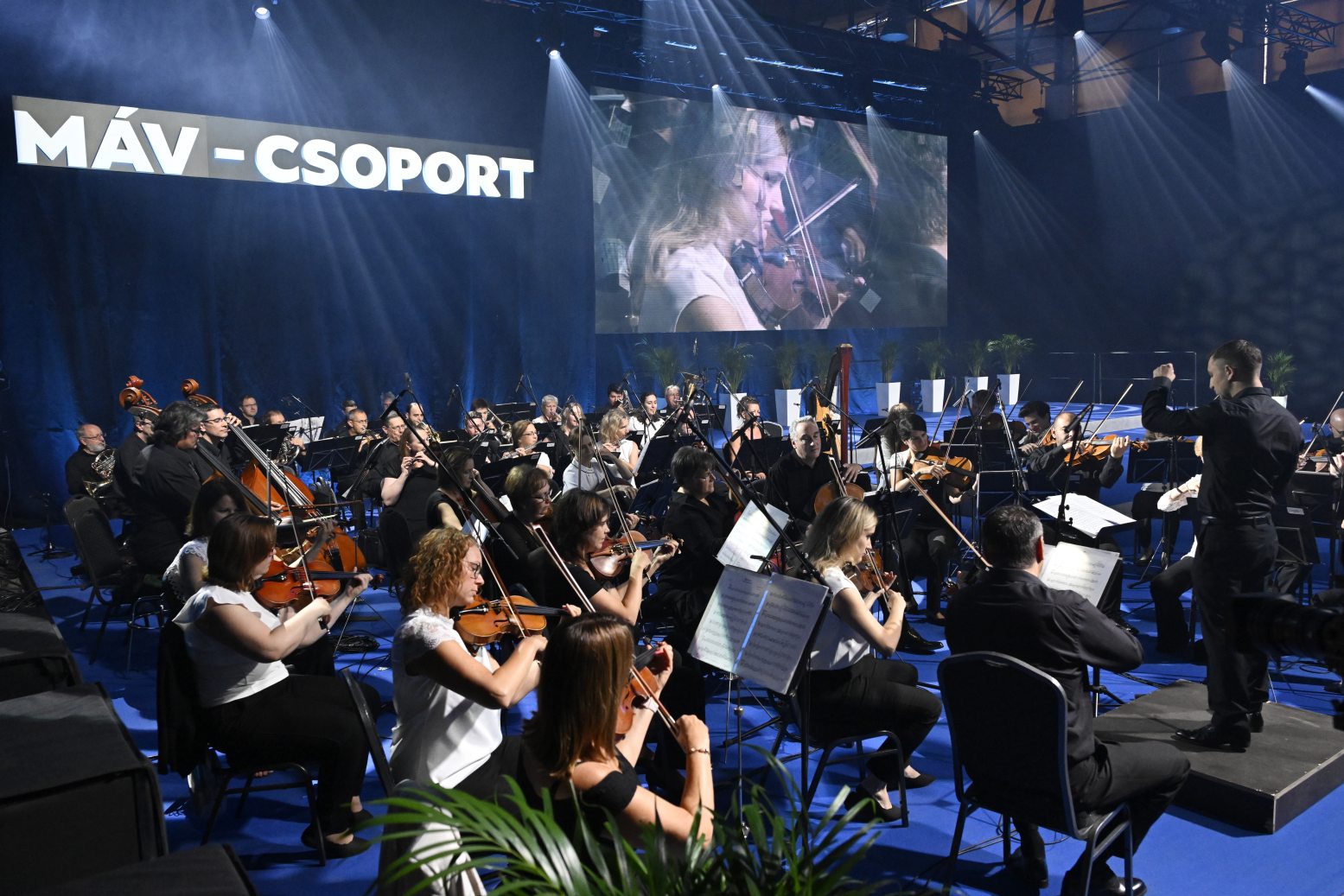 47c3ac10-7460-44df-a9bd-6fbd03ad98a6.jpg