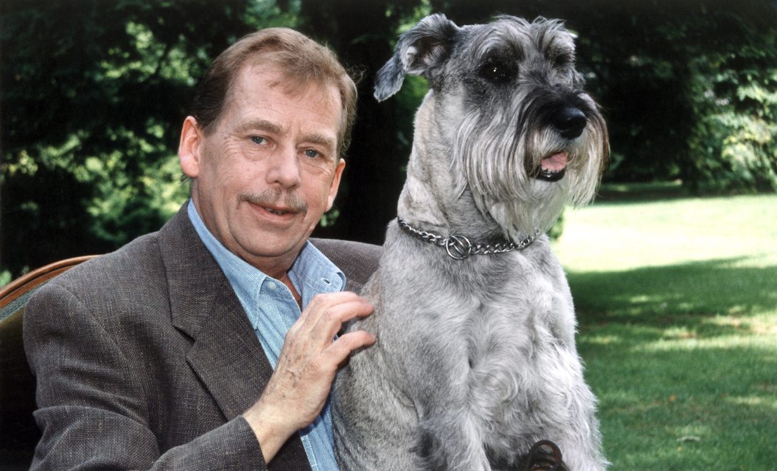 Václav Havel cseh elnök, korábbi disszidens drámaíró, a csehszlovák ellenzéki Polgári Fórum egykori vezetője Gyula nevű foxterrierjével – Horn Gyula magyar miniszterelnök ajándékával – pózol a prágai vár kertjében 1997 februárjában. Fotó: ALAN PAJER / AFP