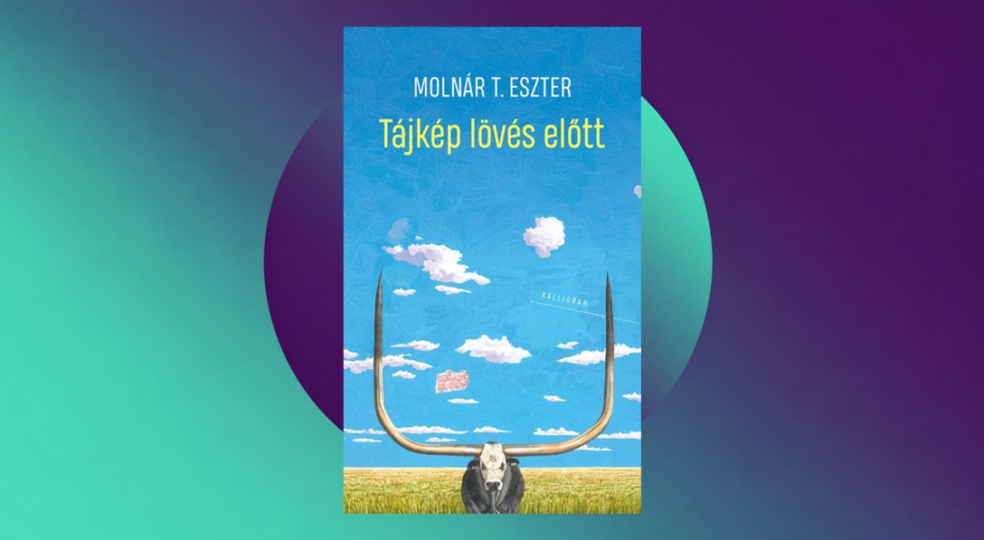 Molnár-T.-Eszter_-Tájkép-lövés-előtt.jpg