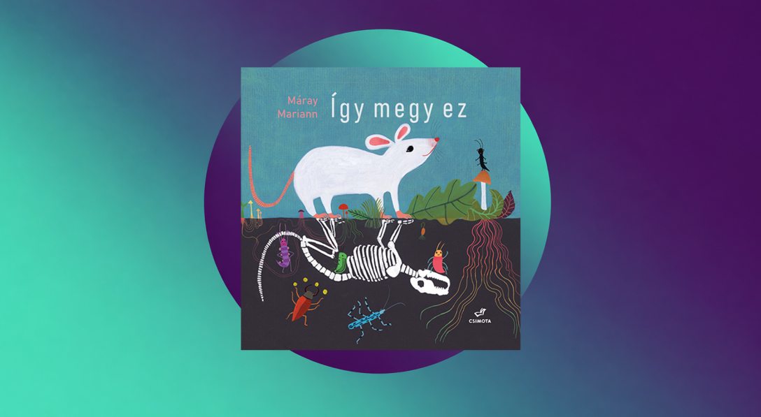 Máray-Mariann_-Így-megy-ez.jpg