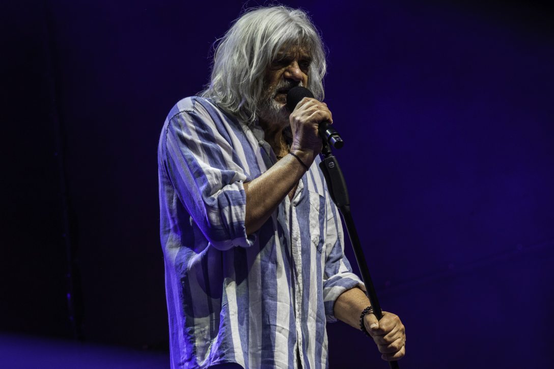 HOBO_foldes borbala.jpg