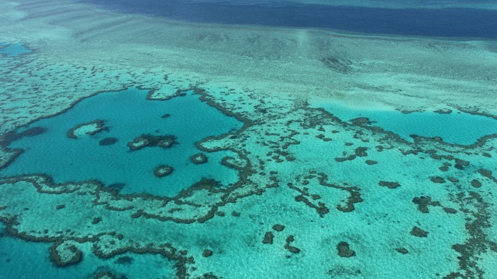 Australia has pledged a large sum to protect the Great Barrier Reef – kultura.hu